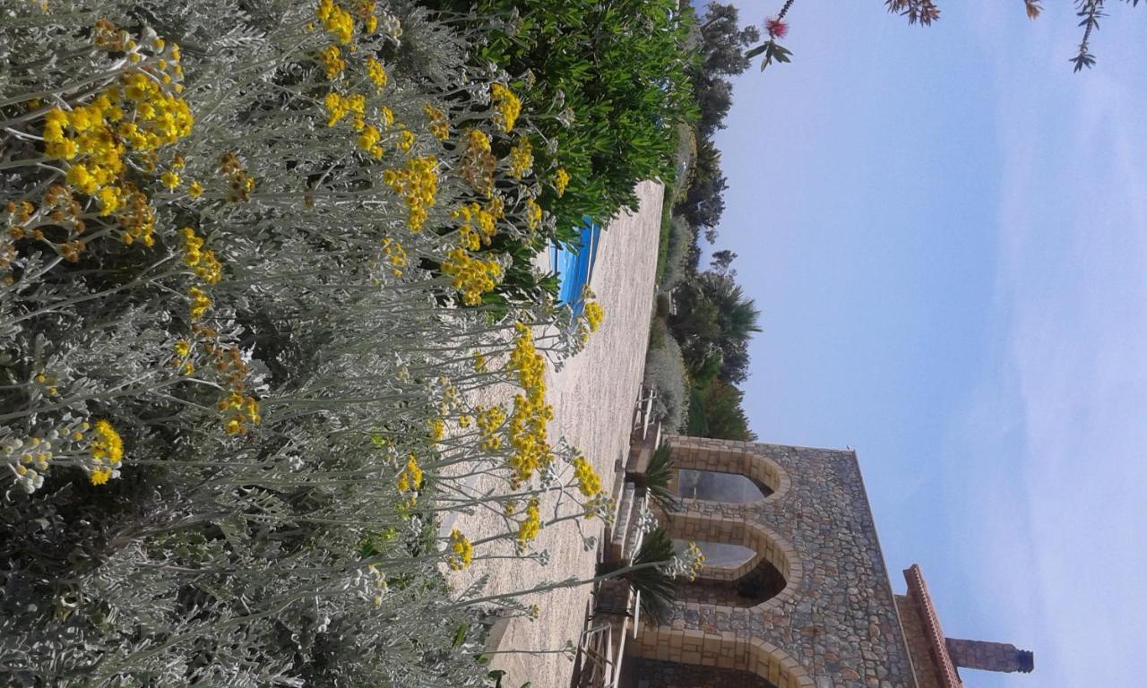 Pegasus Resort 3 *