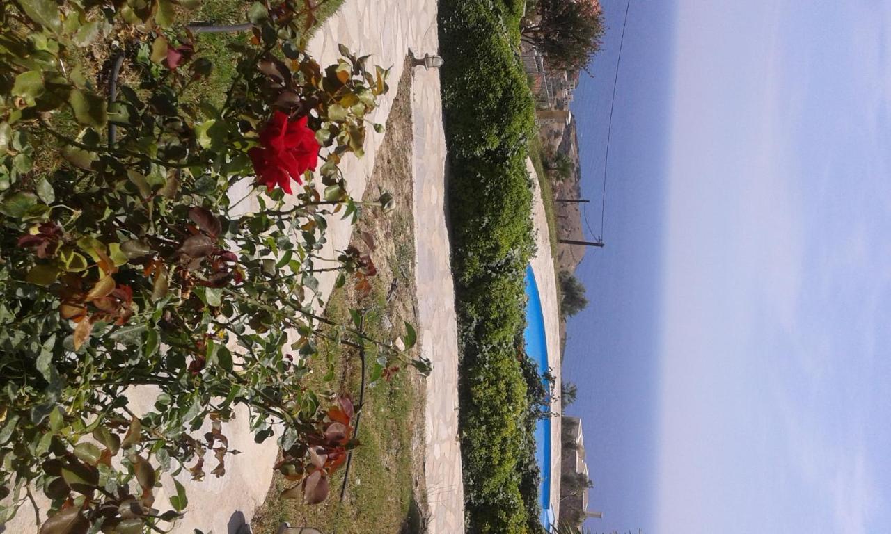 Pegasus Resort 3 *