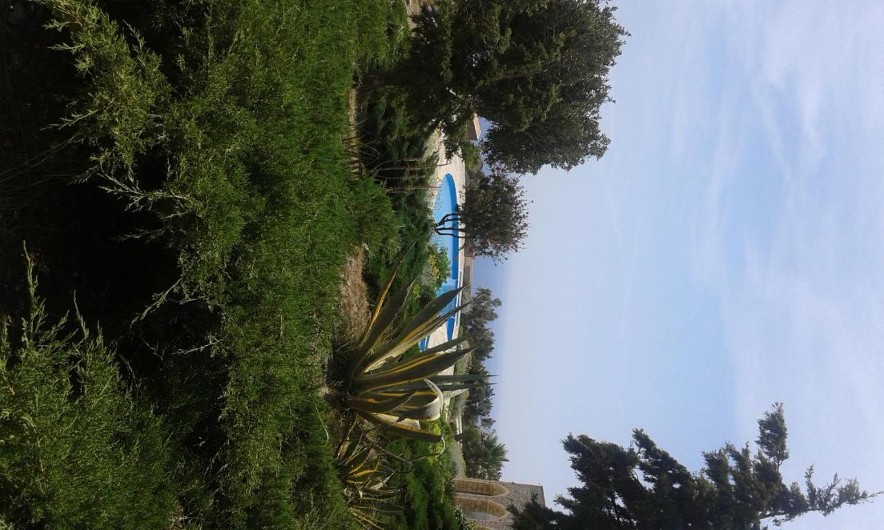 Pegasus Resort 3 *