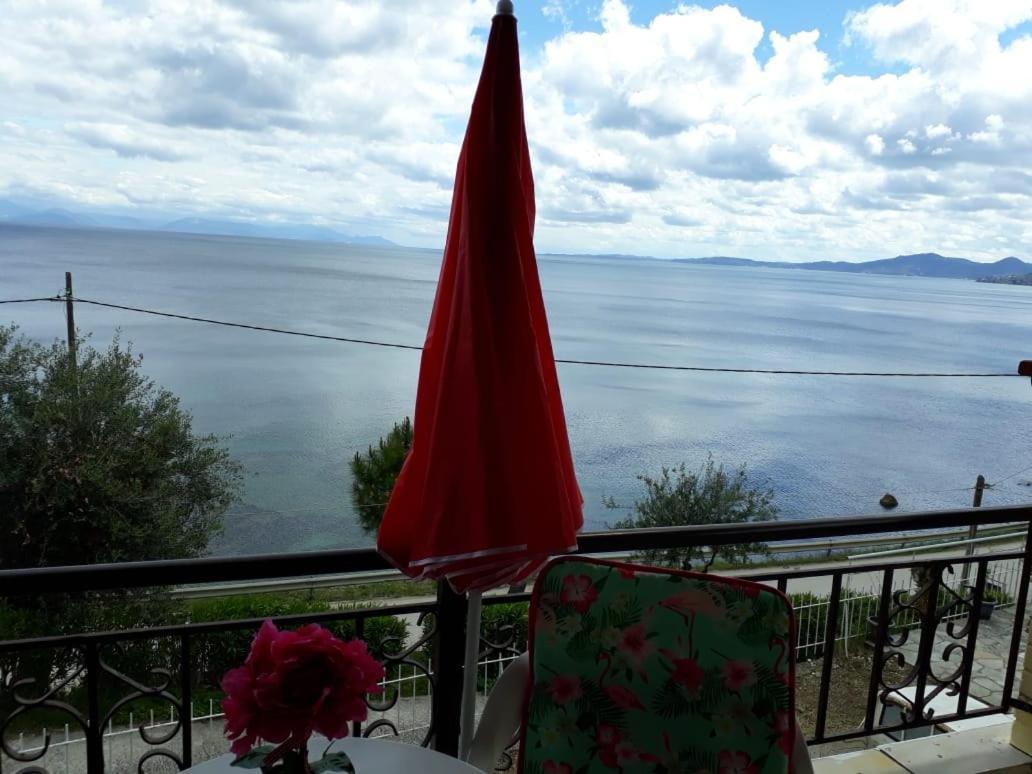 Sol e Mar Sea Side View Guesthouse 2 *