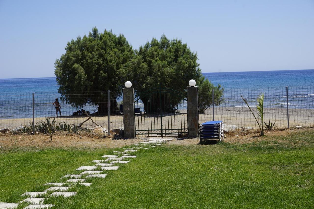Nicholas Beach Studios 2 *