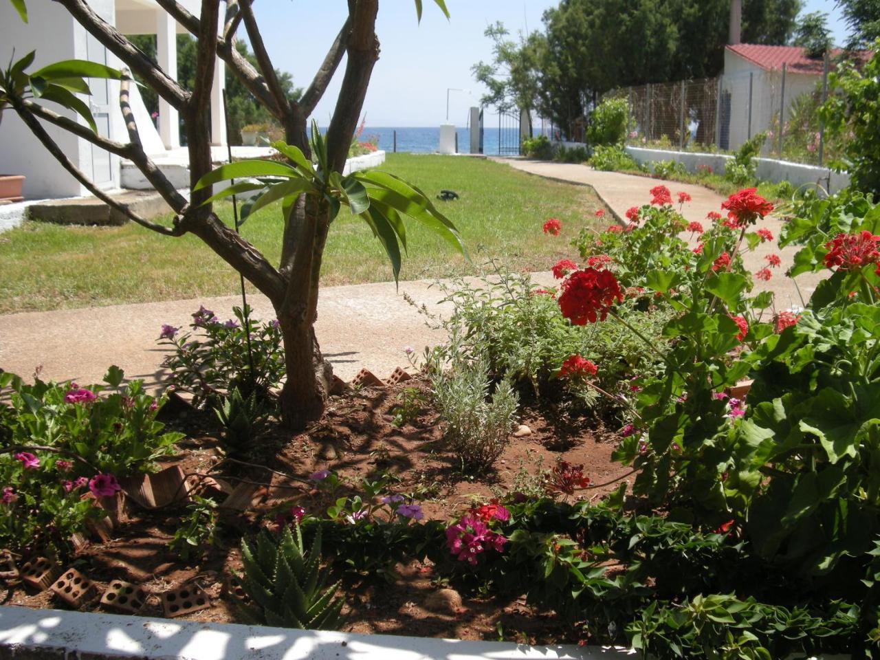 Nicholas Beach Studios 2 *