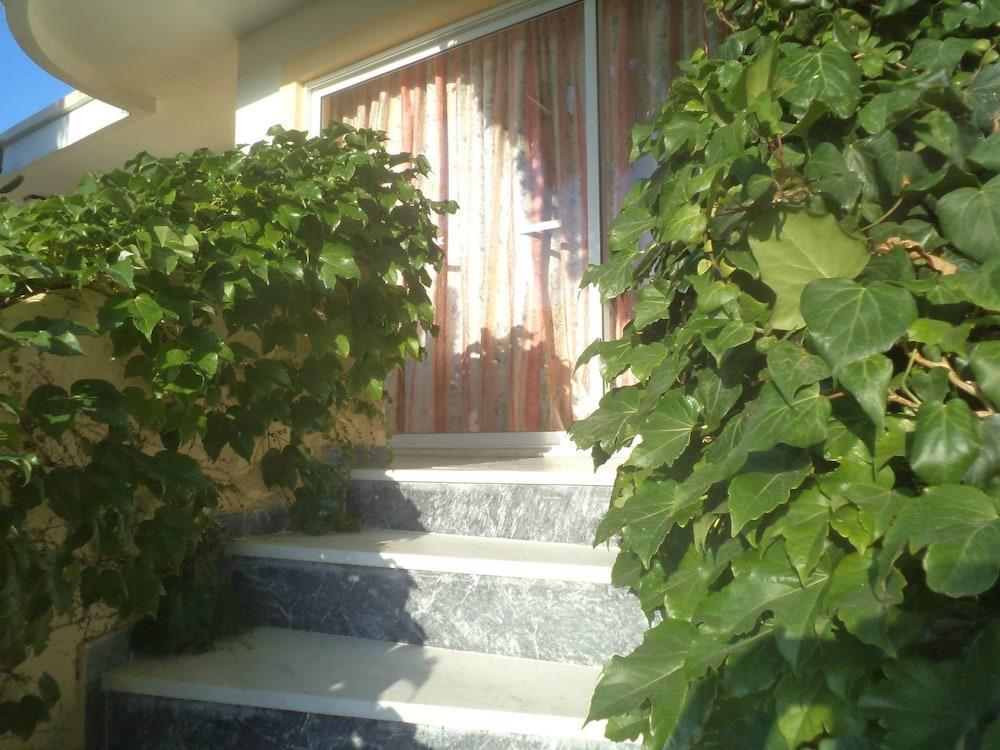 Afentoulis Studios  - pic #15