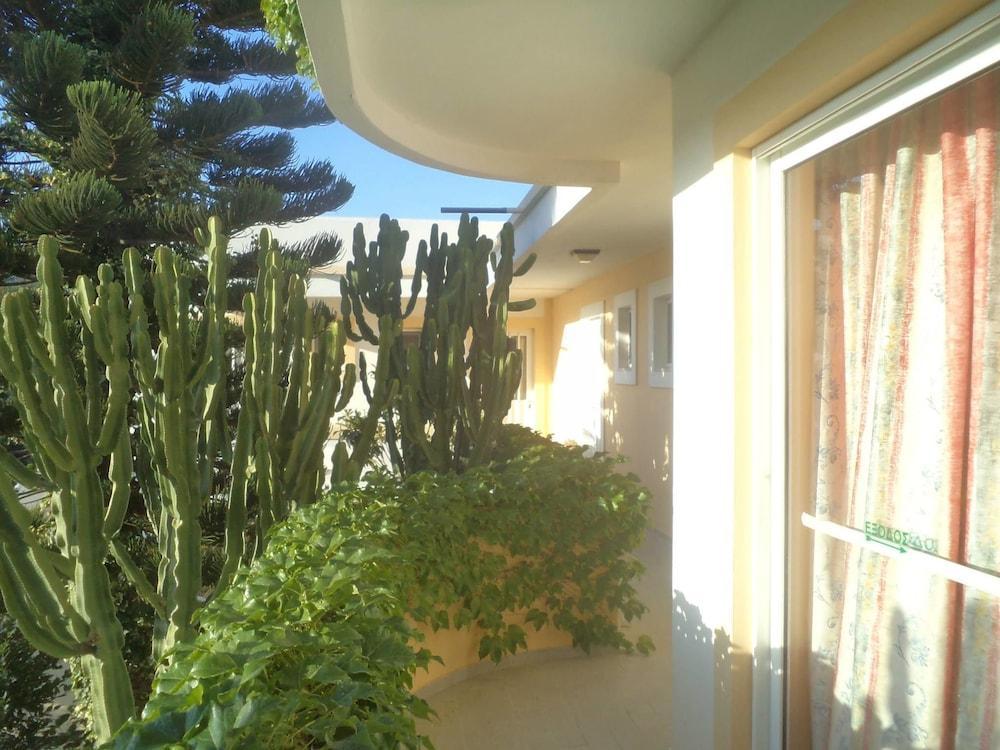 Afentoulis Studios  - pic #16