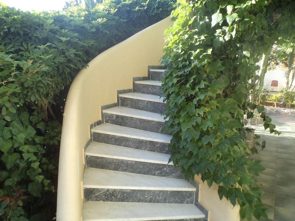 Afentoulis Studios  - pic #11