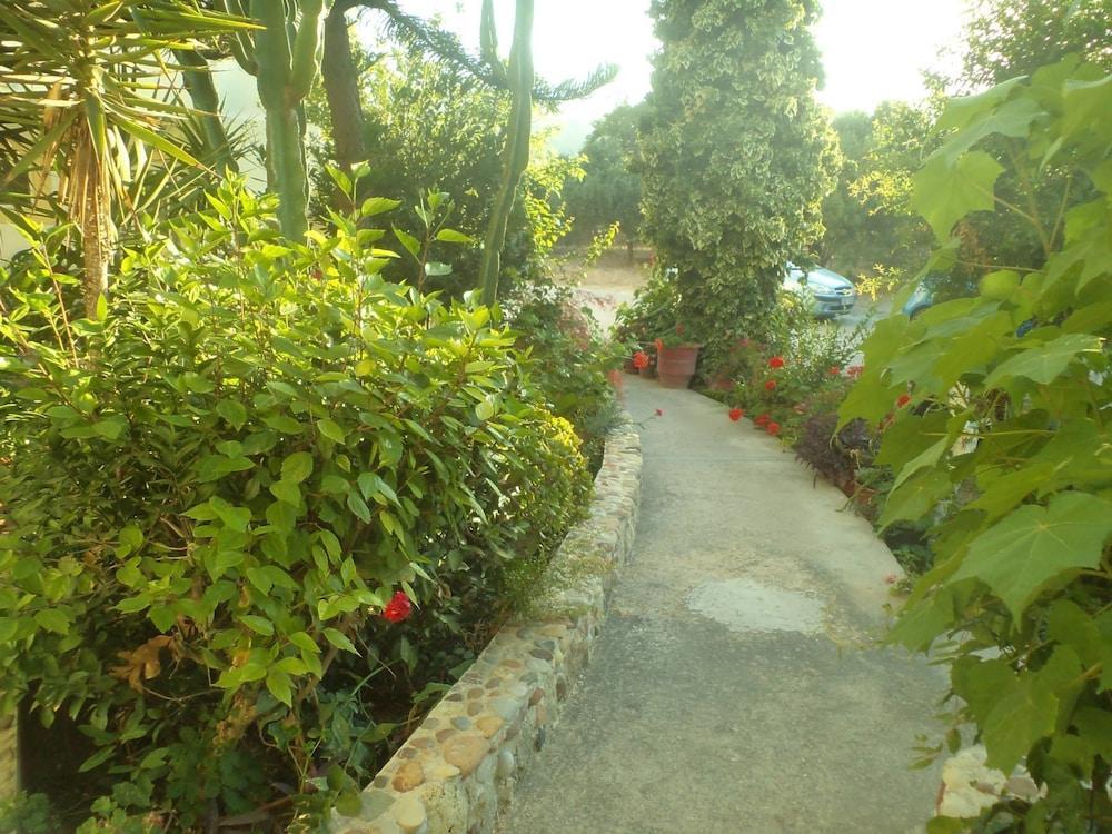 Afentoulis Studios  - pic #12