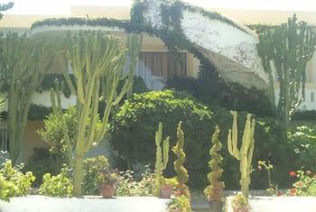 Afentoulis Studios  - pic #23