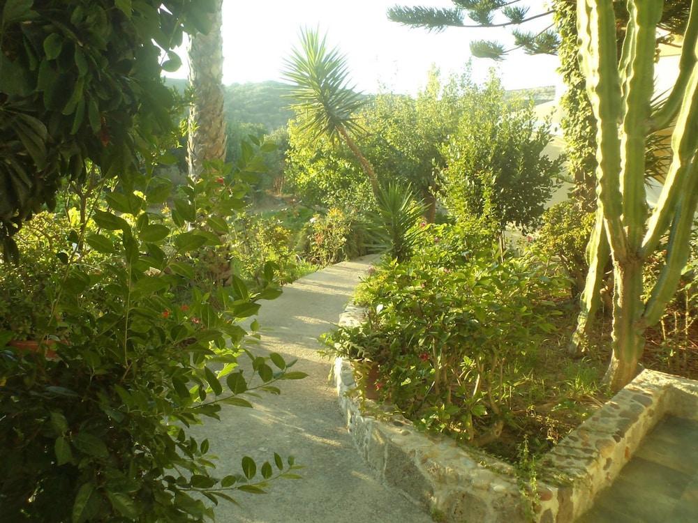 Afentoulis Studios  - pic #10