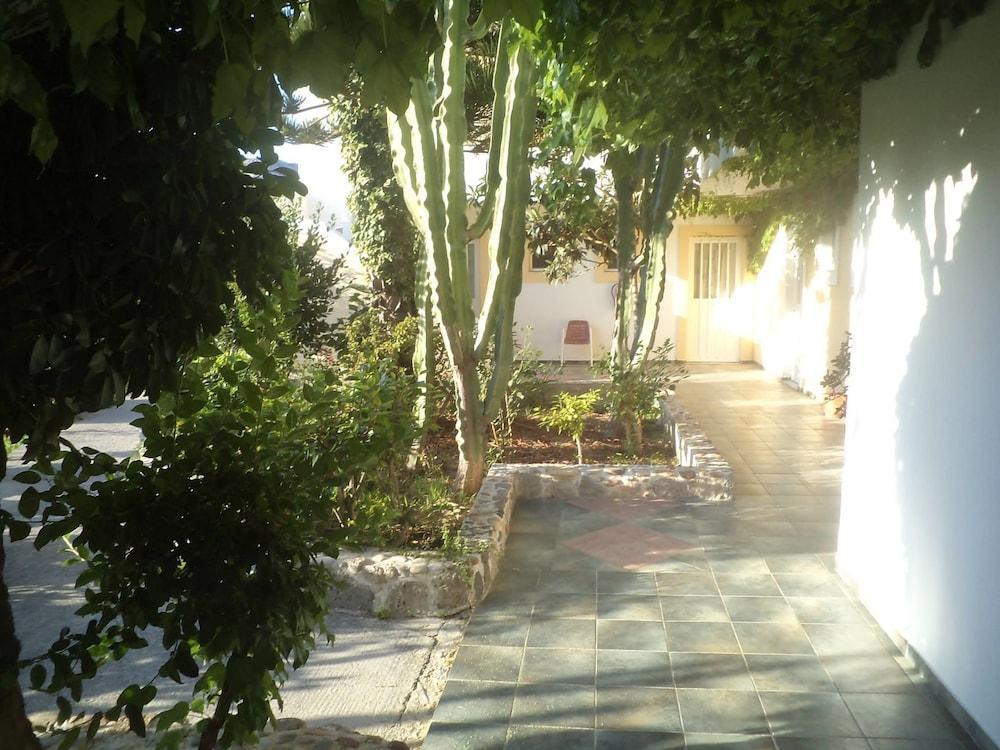 Afentoulis Studios  - pic #13