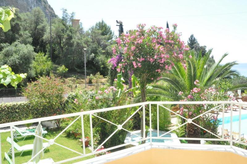 Steven\'s on the Hill 2 * Steven\'s on the Hill 2 *