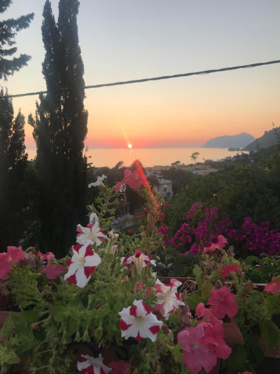 Steven\'s on the Hill 2 * Steven\'s on the Hill 2 *