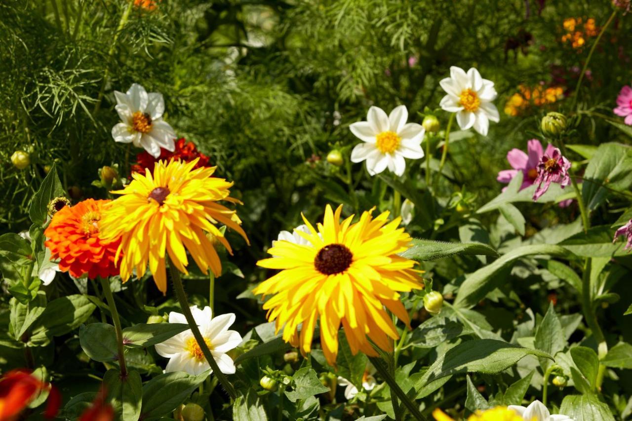 St. George\'s Bay Country Club  St. George\'s Bay Country Club