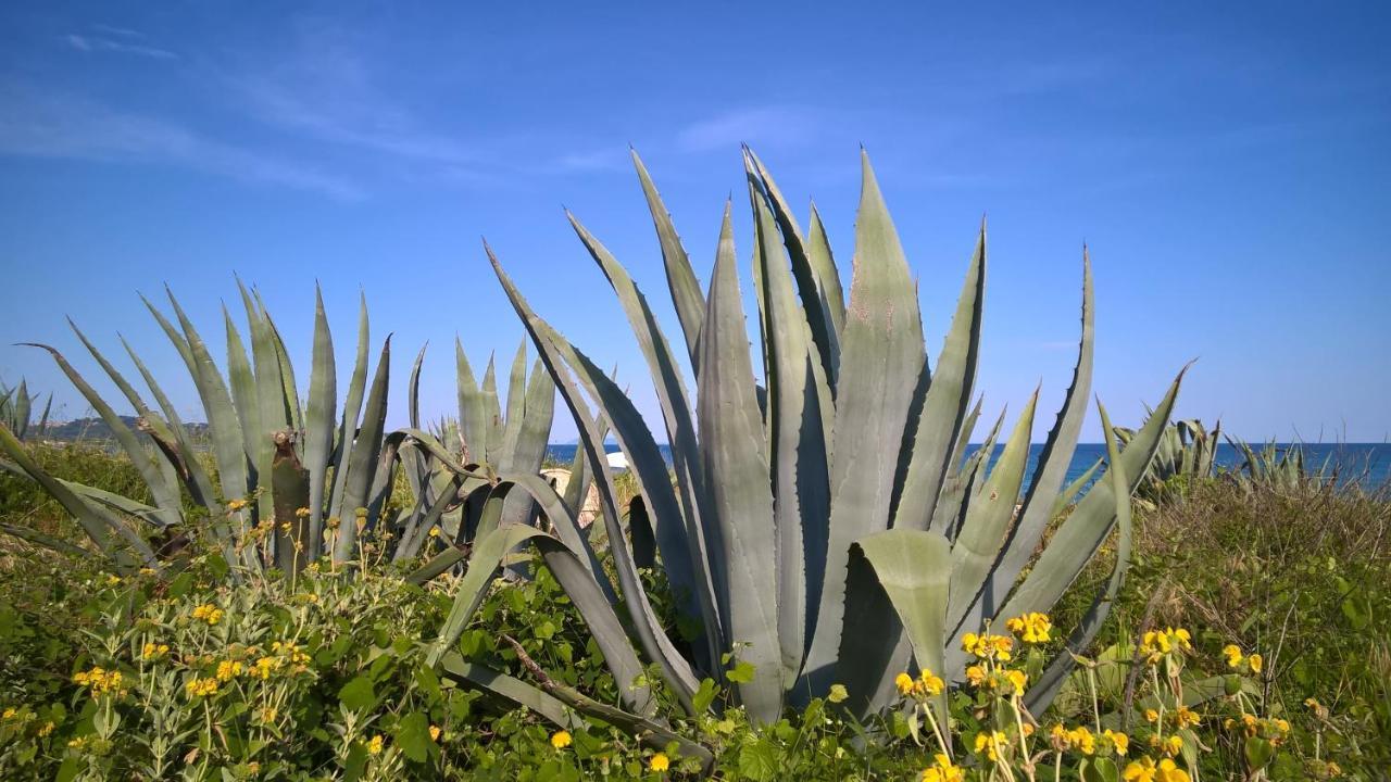 St. George\'s Bay Country Club  St. George\'s Bay Country Club