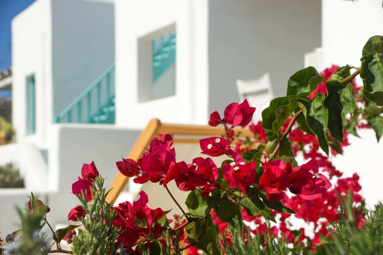 Ploes Seaside Houses 2 *
