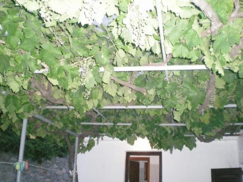 Kirimis Studios 1 *