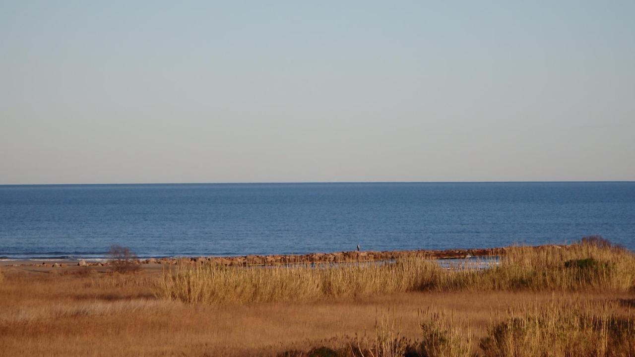Florazar Valencia