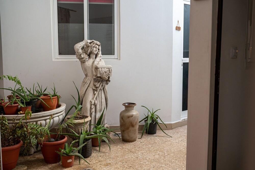 Drago Nest Hostel