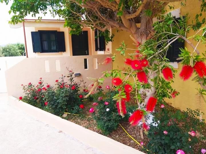 Kouremenos Beach Apartments  