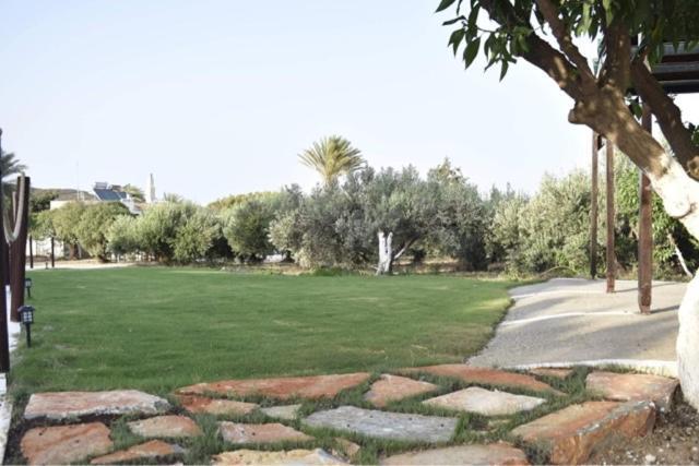 Kouremenos Beach Apartments  
