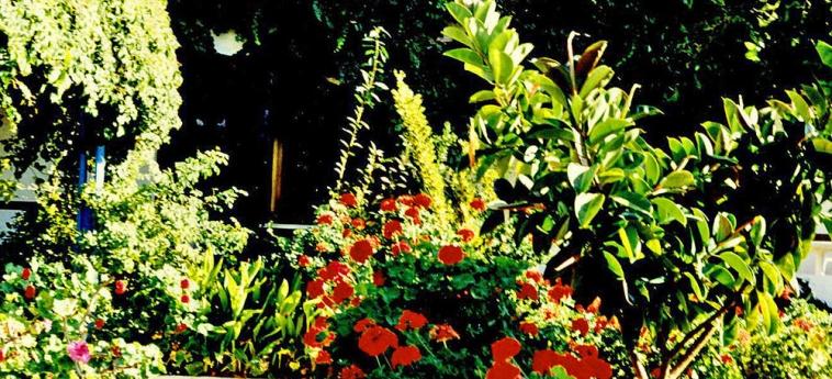 Greta Beach 2 * Greta Beach 2 *