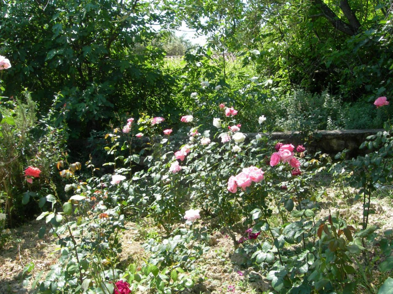 Riza Stone Cottage 