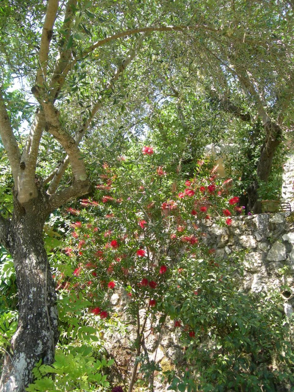 Riza Stone Cottage 