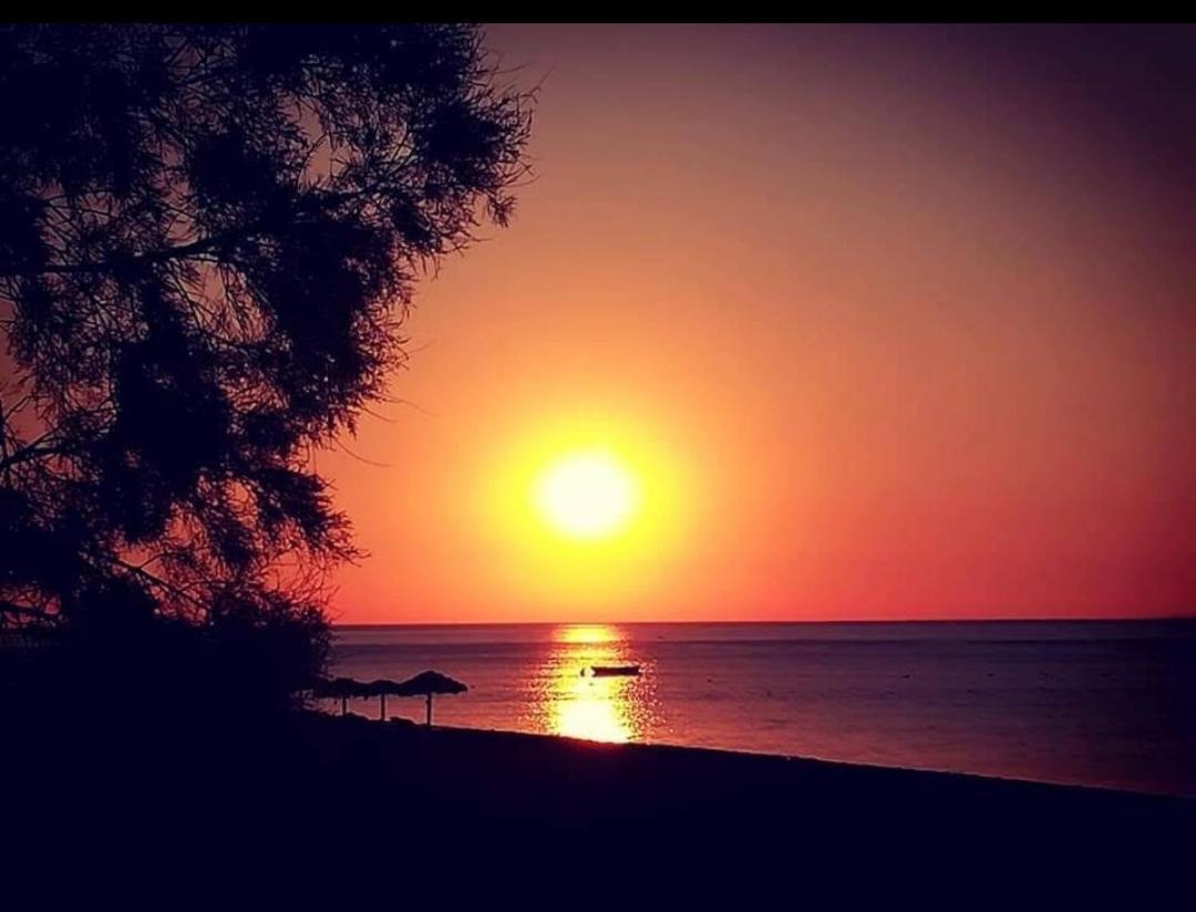 The Best Hotel 3 * The Best Hotel 3 *