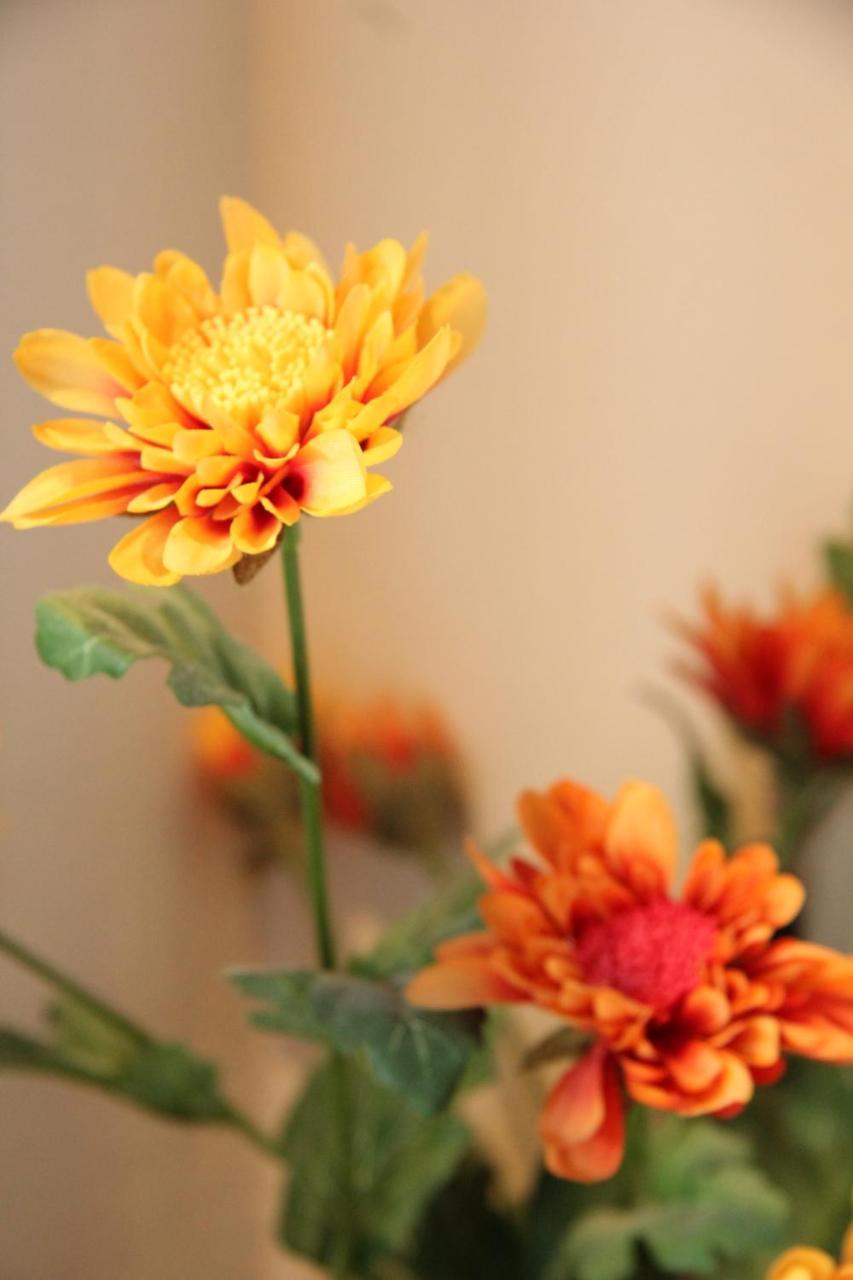 Maria\'s Place 3 * Maria\'s Place 3 *