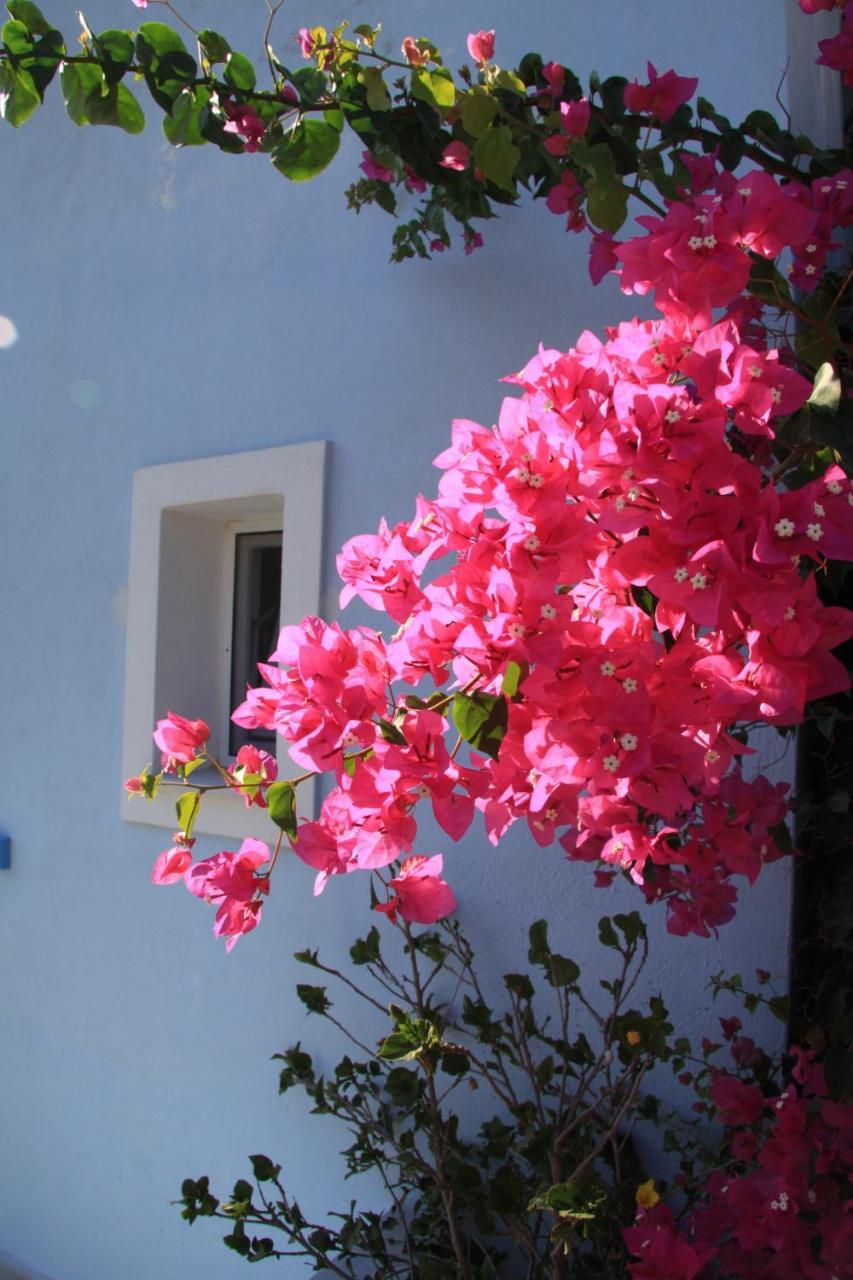 Maria\'s Place 3 * Maria\'s Place 3 *