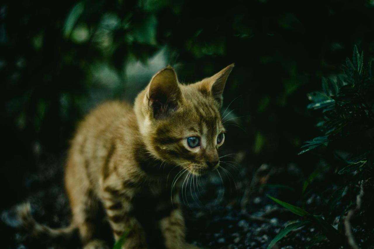 Maria\'s Place 3 * Maria\'s Place 3 *