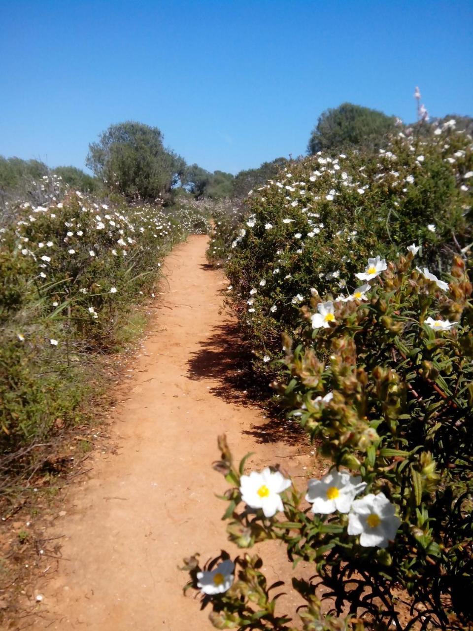 Hostal Residencia San Francisco