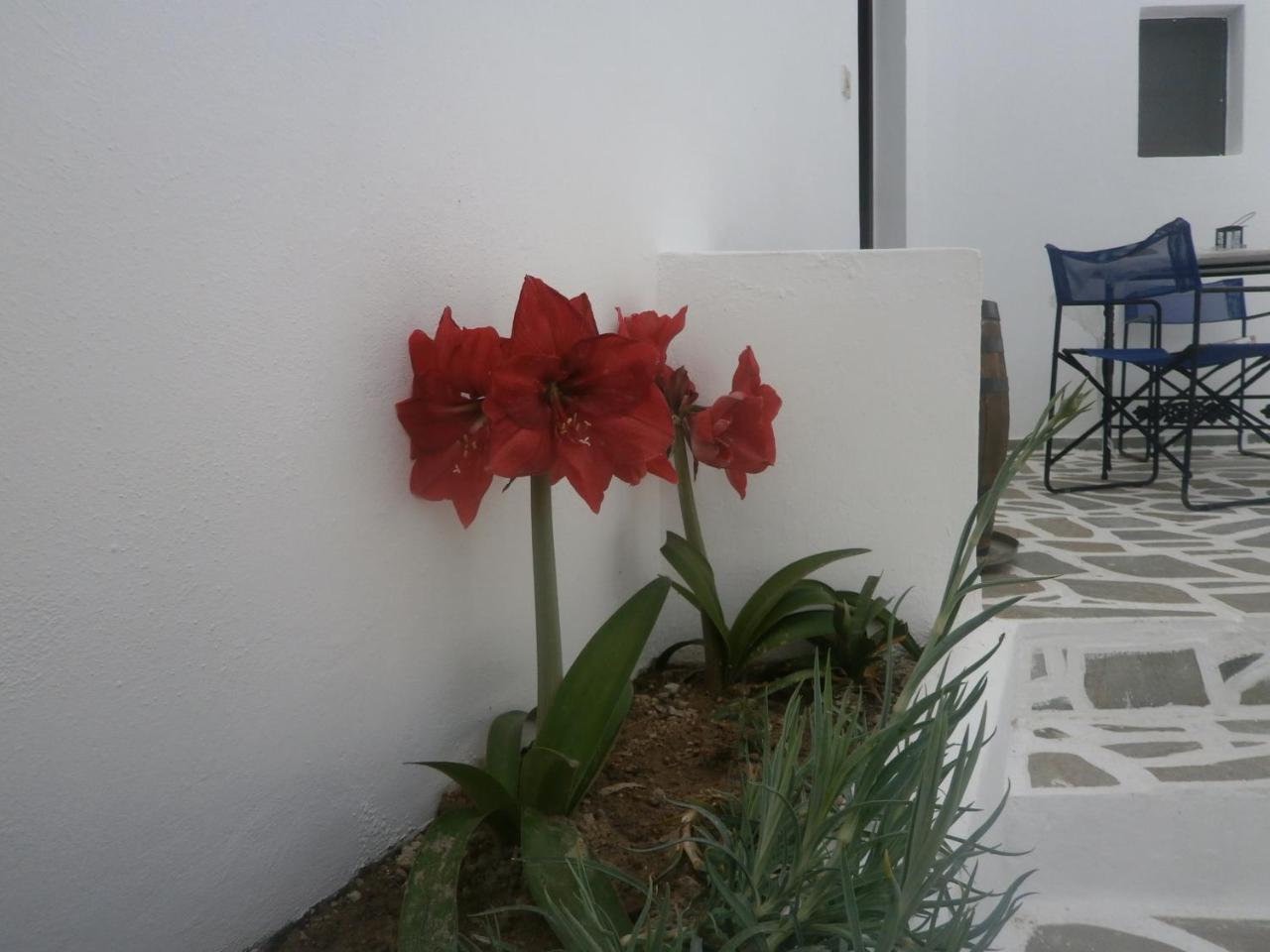 Villa Ostria 3 *