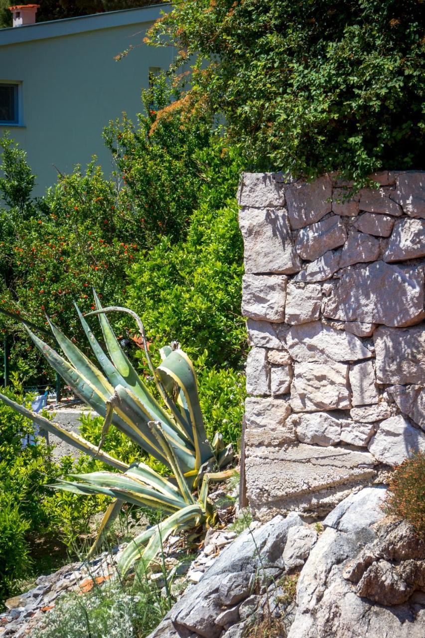 Guest House Davor Tomas