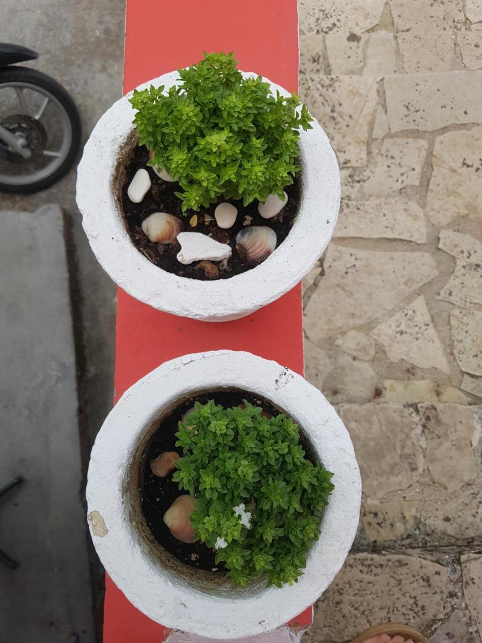 Spiros Family Apts 2 *