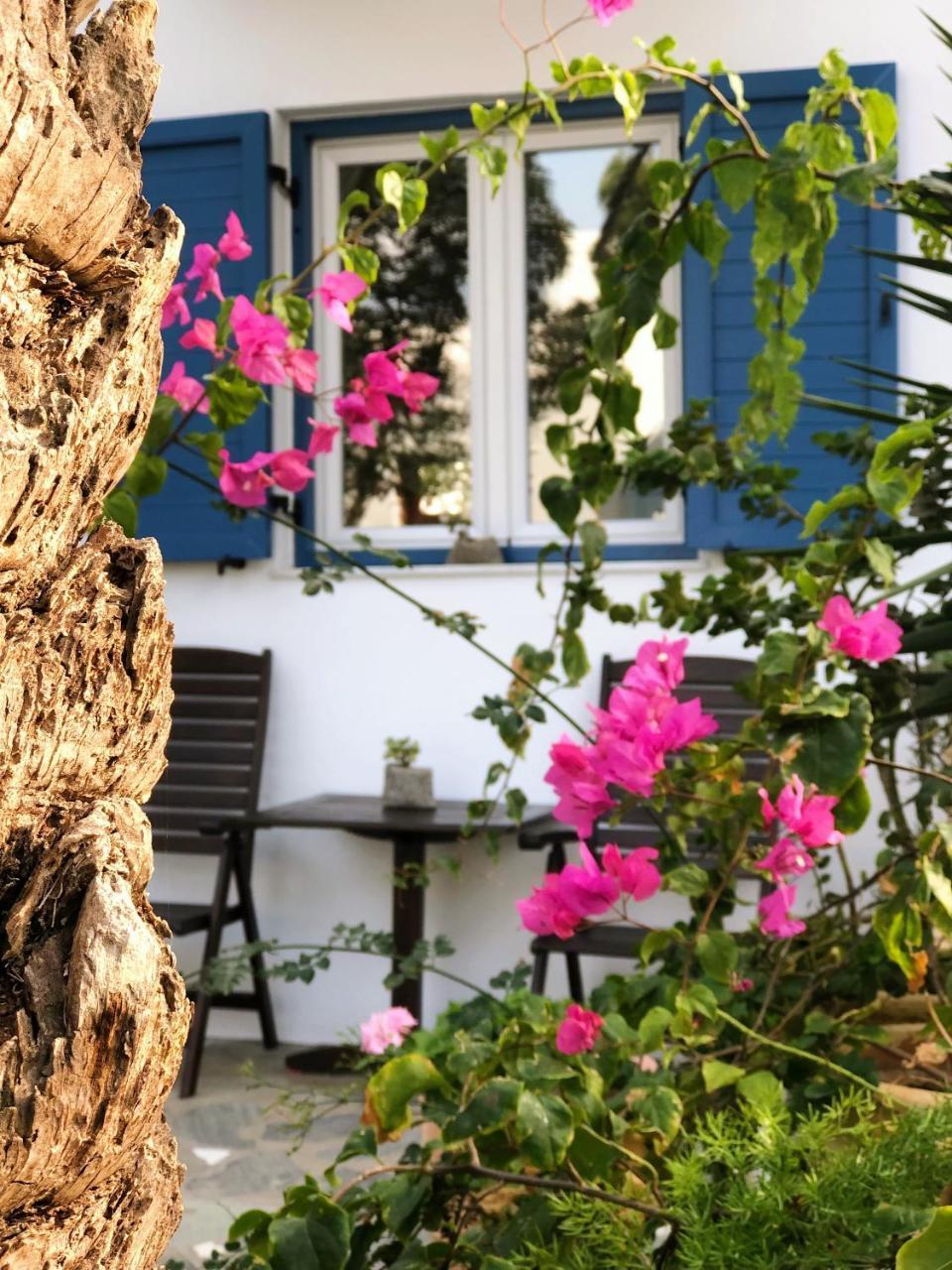 Matina 3 * Matina 3 *