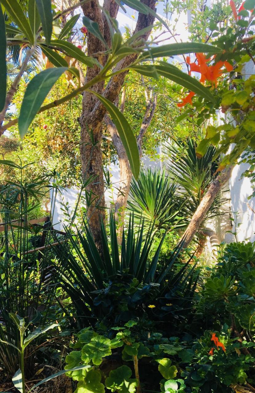 Matina 3 * Matina 3 *