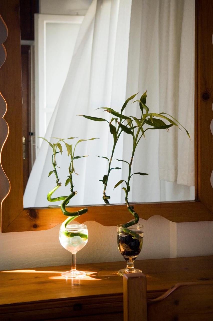 Matina 3 * Matina 3 *