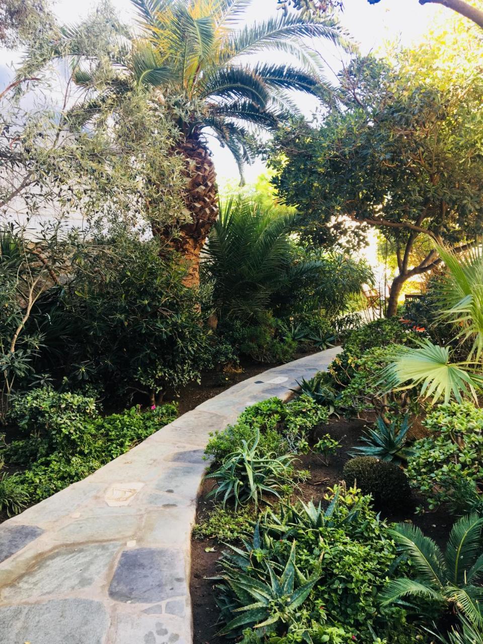 Matina 3 * Matina 3 *