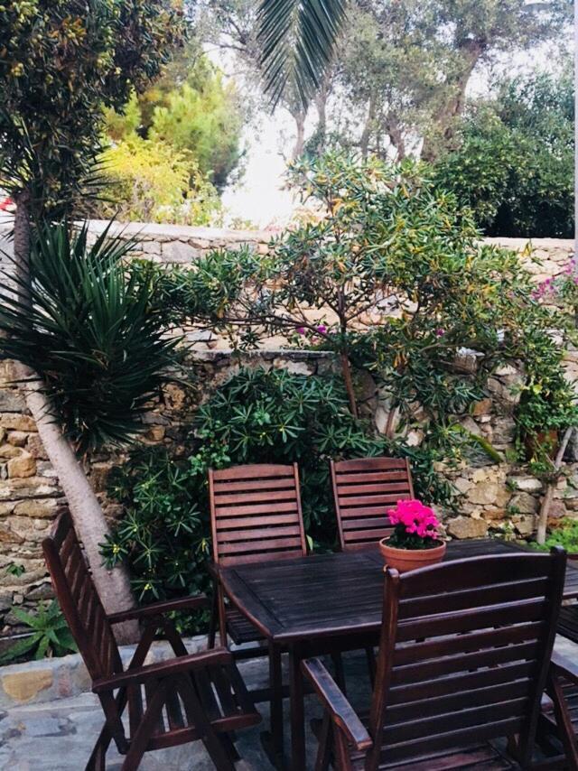 Matina 3 * Matina 3 *