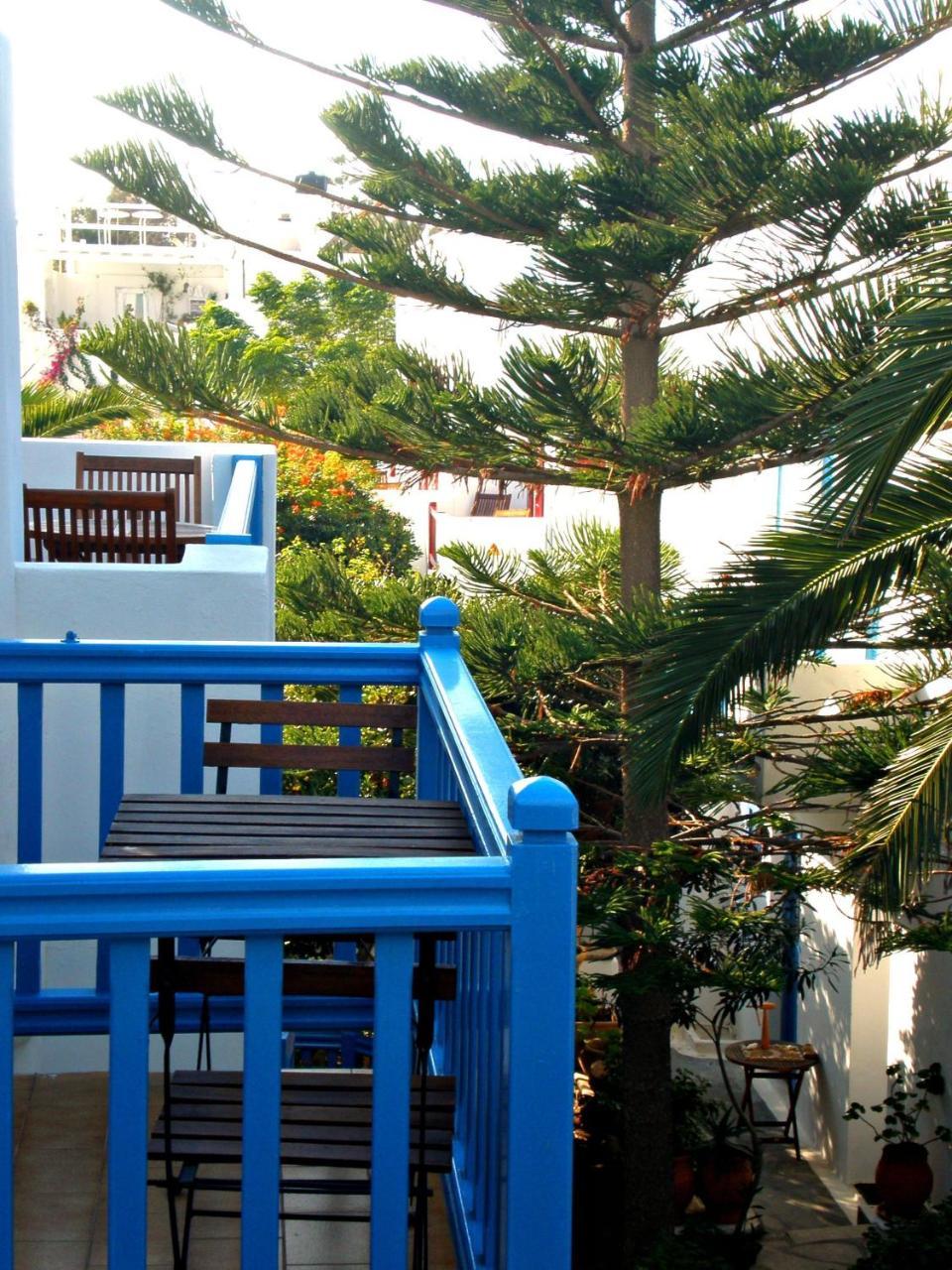 Matina 3 * Matina 3 *