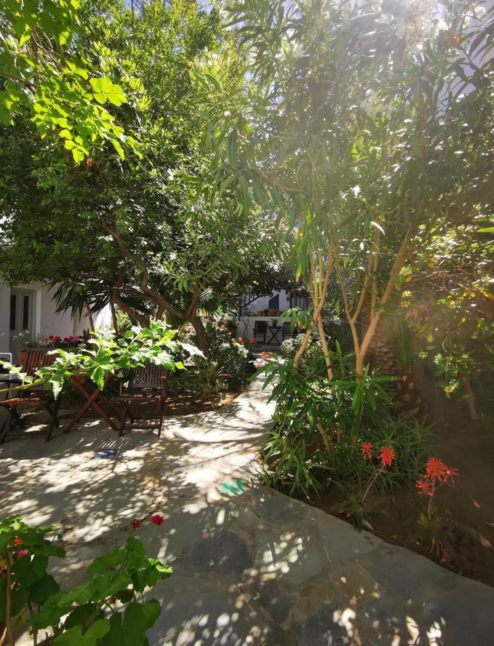 Matina 3 * Matina 3 *