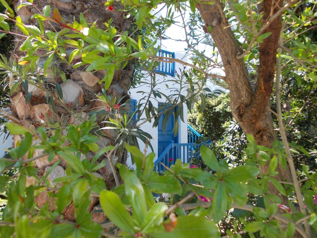 Matina 3 * Matina 3 *