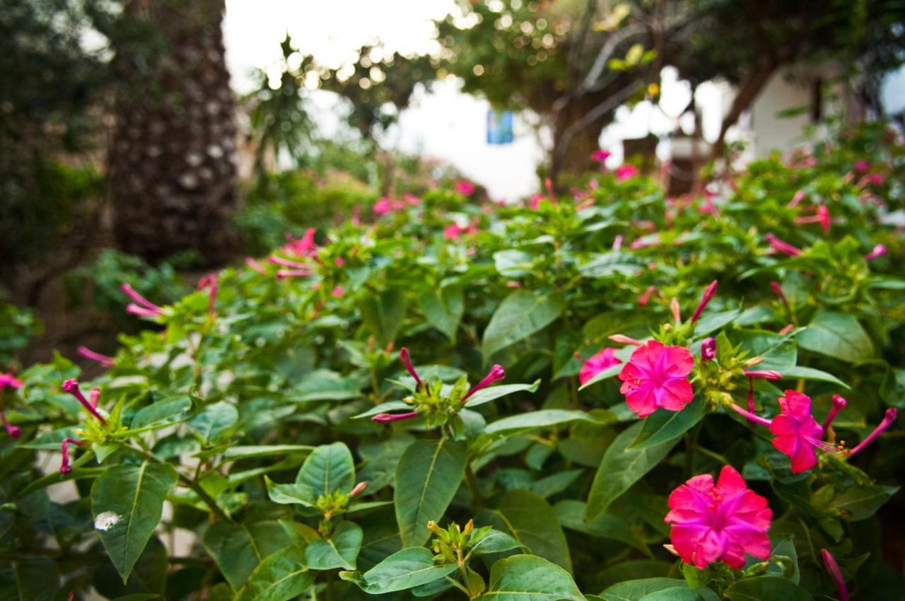 Matina 3 * Matina 3 *