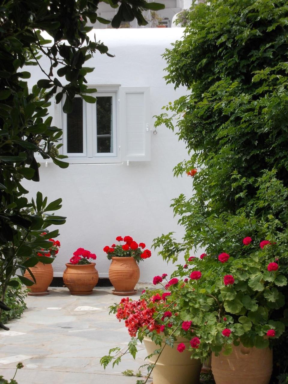 Matina 3 * Matina 3 *