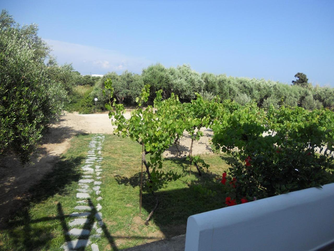 Nefeli Apartments Kefalos 