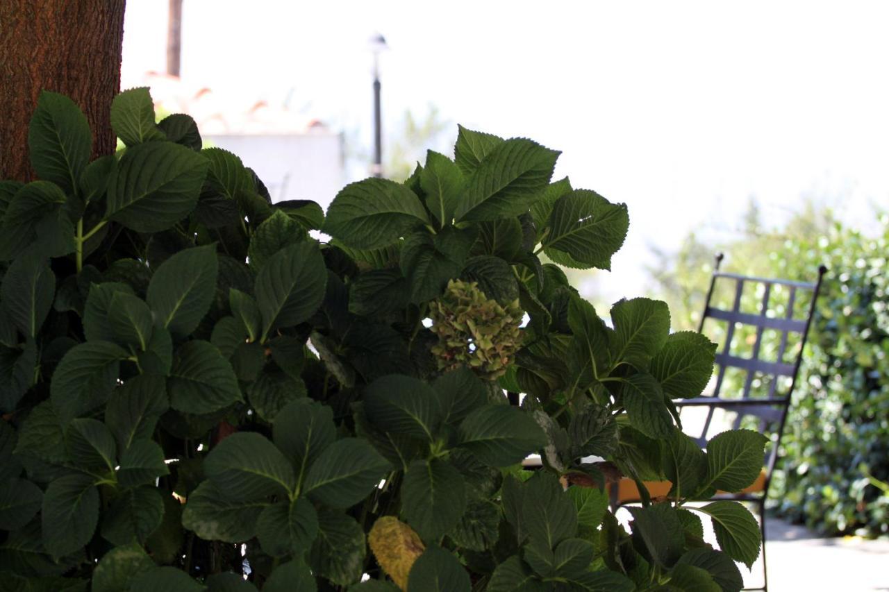 Guesthouse Kolenti 3 *