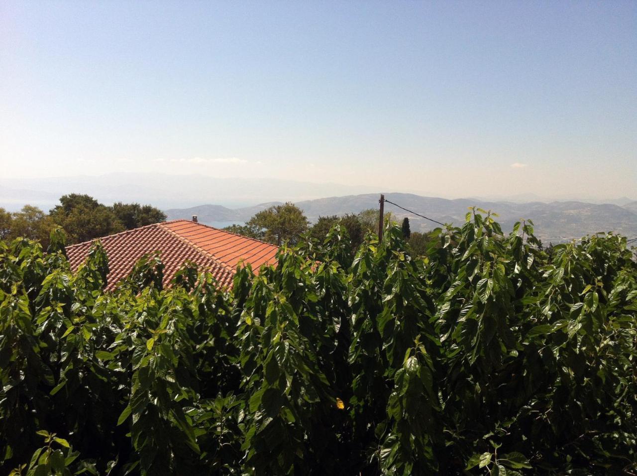 Guesthouse Kolenti 3 *