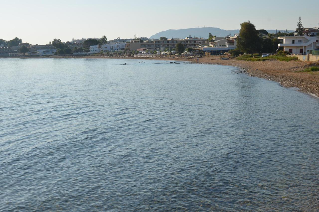 Kalamaki Apartments  Kalamaki Apartments