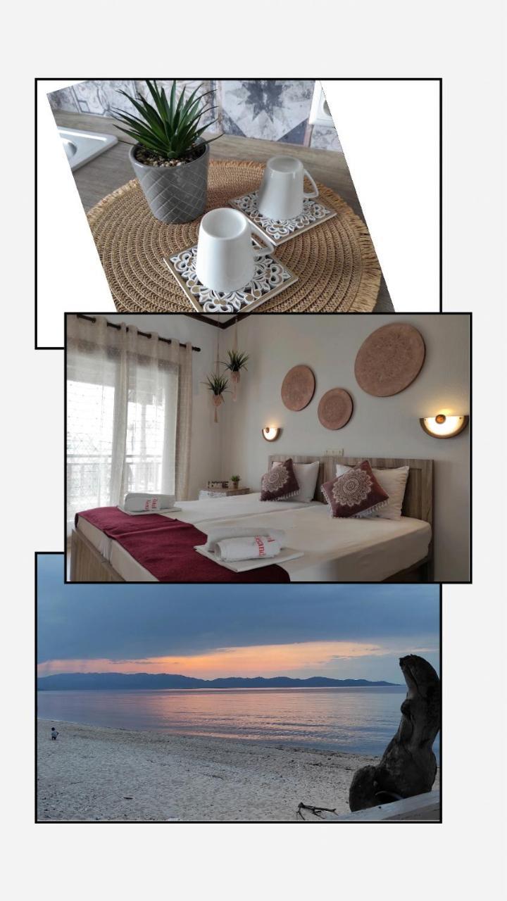 Hotel Alexandra 1 *