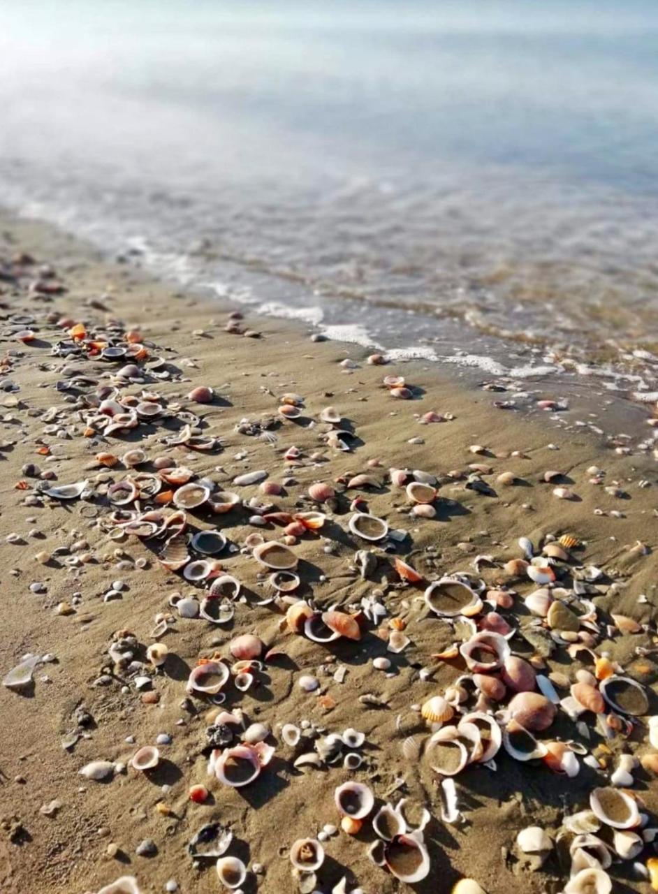 Azzurromare Flat Apartment in Lido-di-ostia